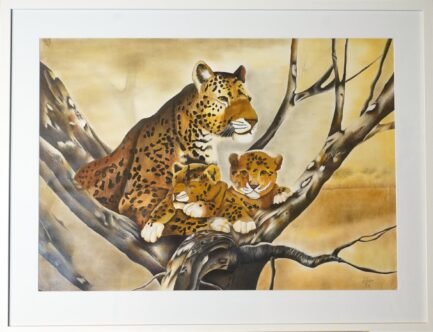 Leopard Family